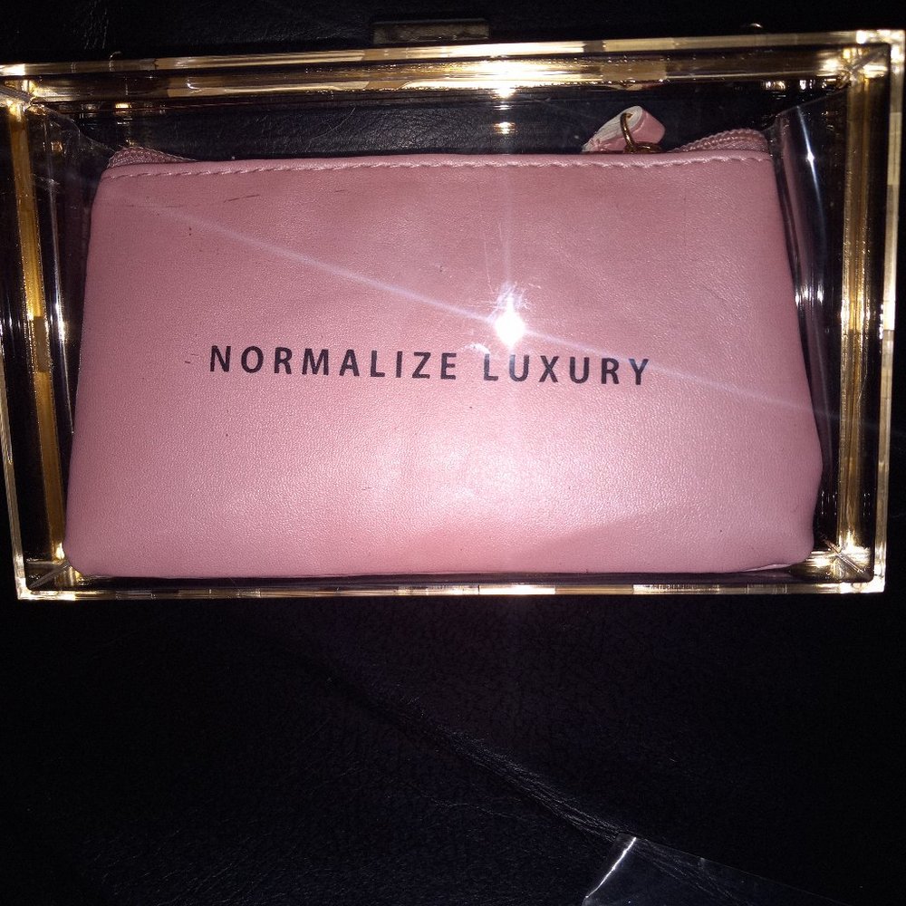 NWOT Lucite Purse w wristlet